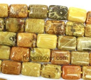 CF040 coral fossil gemstone beads for sale rectangle 10*14mm