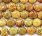 CF060 coral fossil precious gemstone beads for sale coin 10mm