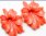 CR119 Wholesale pink coral flower beads pendant 30*50mm