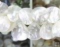 SS048 Wholesale white sea shell loose beads teardrop 25*35mm