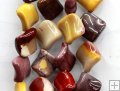 SX002 Swirely mookaite jasper rhombus 15mm loose beads SX002 Swirely mookaite jasper rhombus 15mm loose beads